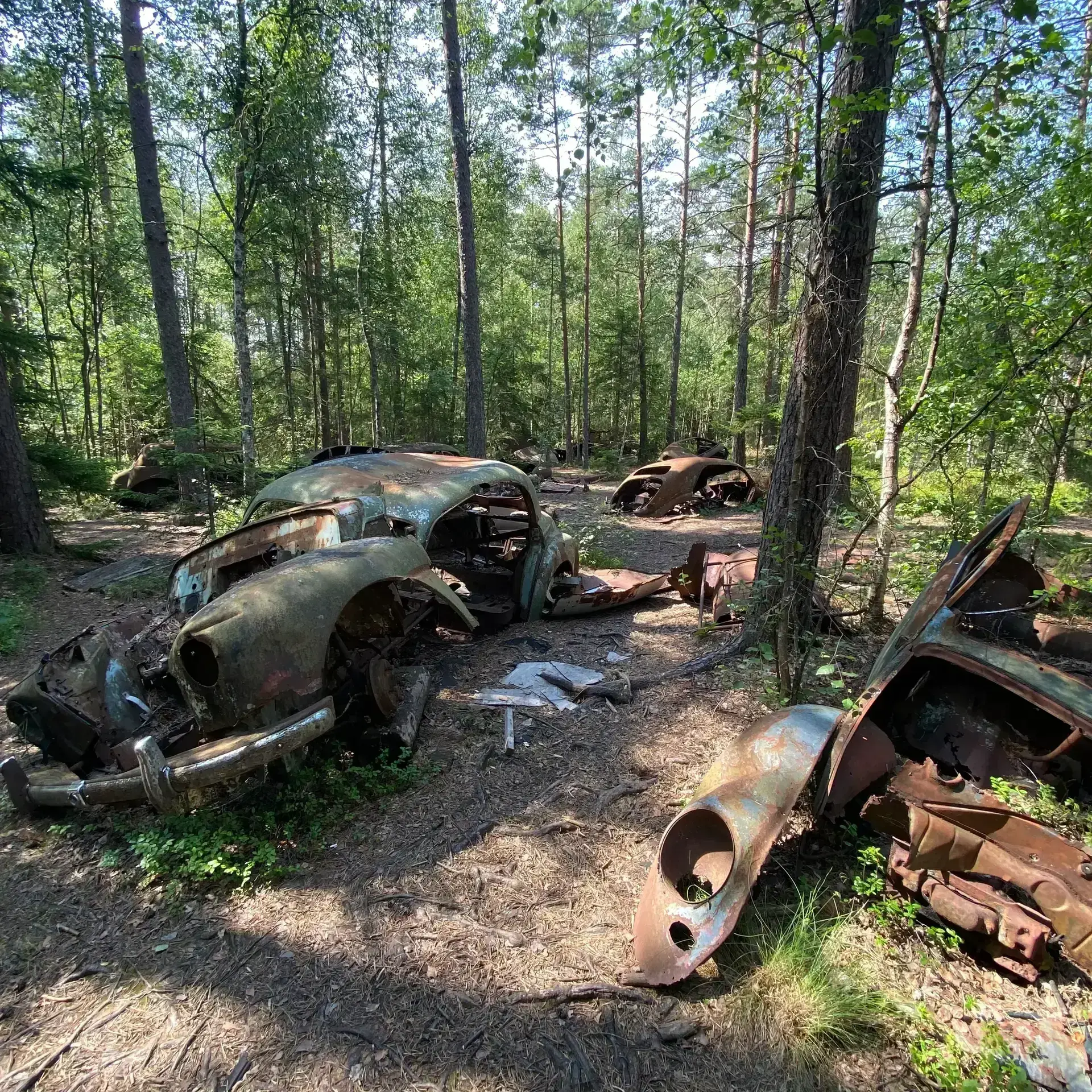 Autofriedhof Kyrkö Mosse bei Ryd