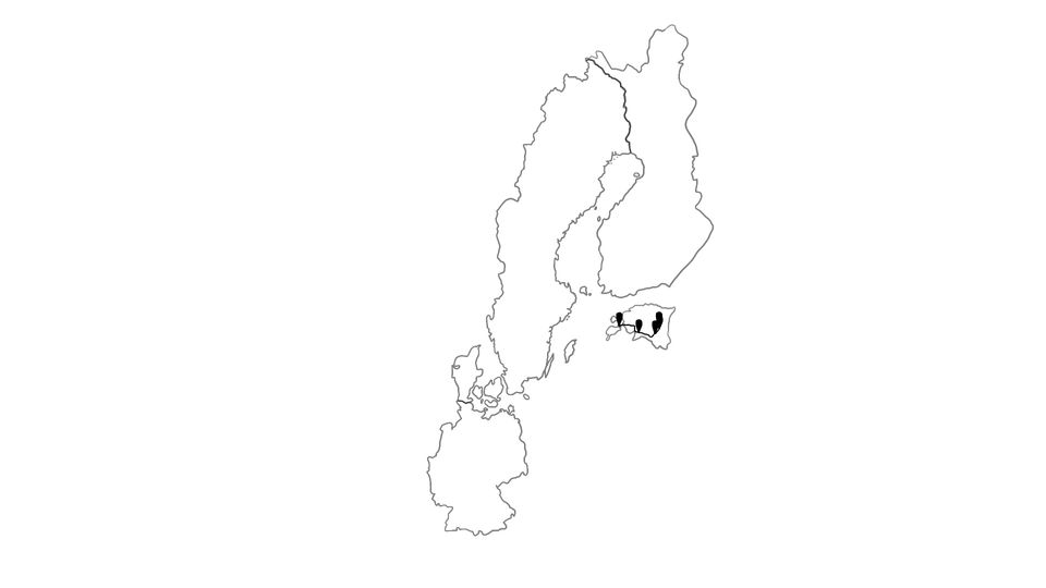 Die Reiseroute unserer Europareise // Unterwegs in Estland // Reisewoche 10