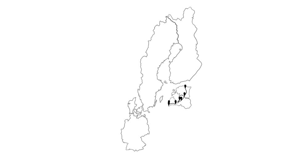 🇪🇪 🇱🇻 // Weiter nach Lettland & Riga // Reisewoche 12 // KW 40