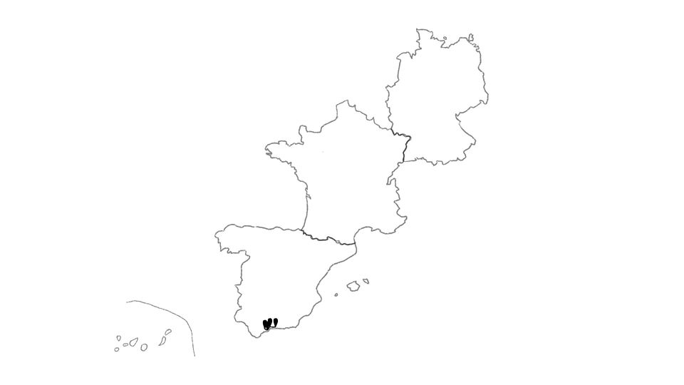 Die Reiseroute unserer Europareise // Unterwegs in Südspanien // Reisewoche 31