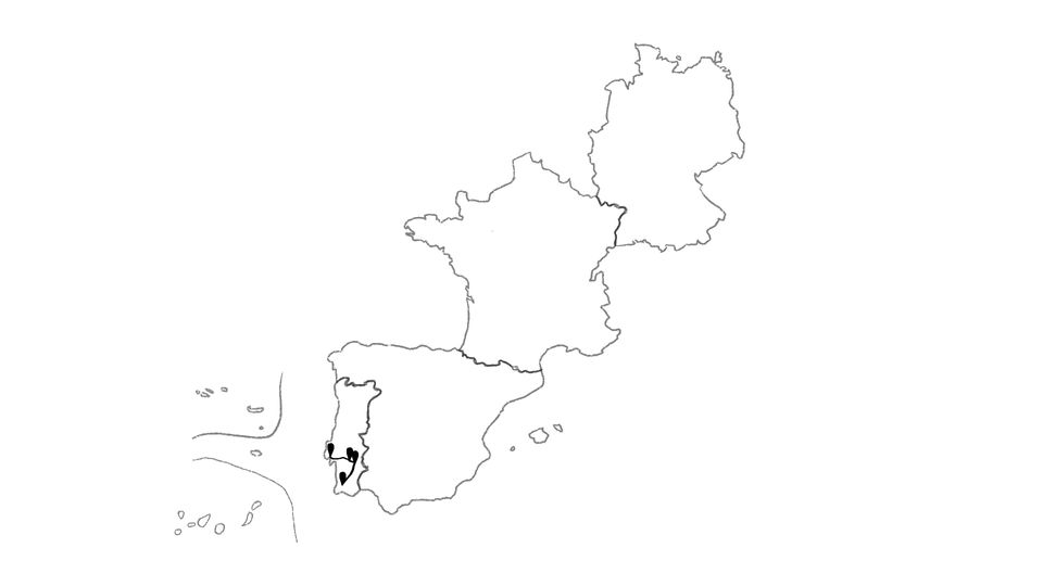 🇵🇹 // Alferce, Beja, Portel, Évora & Lissabon // Reisewoche 36 // KW 12