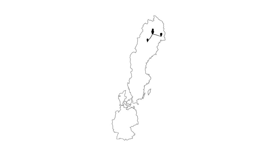 🇸🇪 // Storforsen, Polarkreis, Muddus Nationalpark  & Rentiere // Reisewoche 4 // KW 32