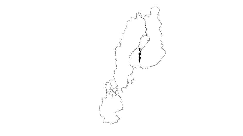 Die Reiseroute unserer Europareise // Unterwegs in Finnland // Reisewoche 7