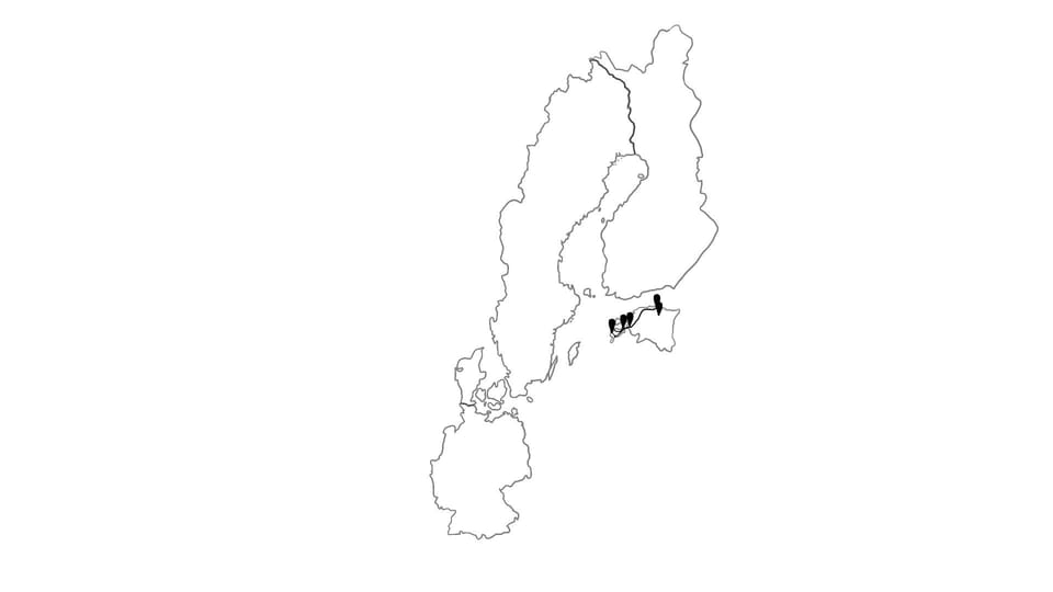 Die Reiseroute unserer Europareise // Unterwegs in Estland // Reisewoche 11