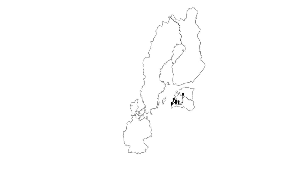 Die Reiseroute unserer Europareise // Von Lettland nach Estland // Reisewoche 13
