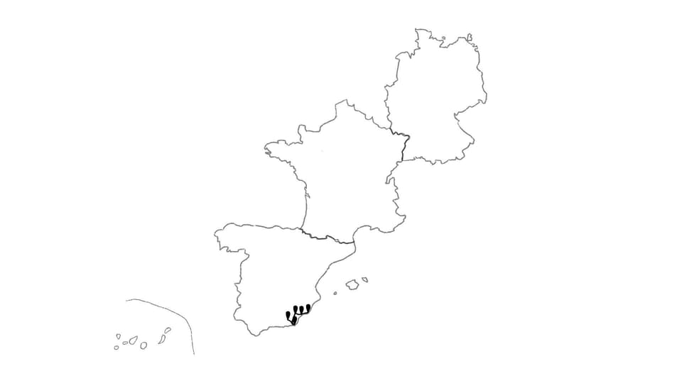 Die Reiseroute unserer Europareise // Unterwegs in Südspanien // Reisewoche 29
