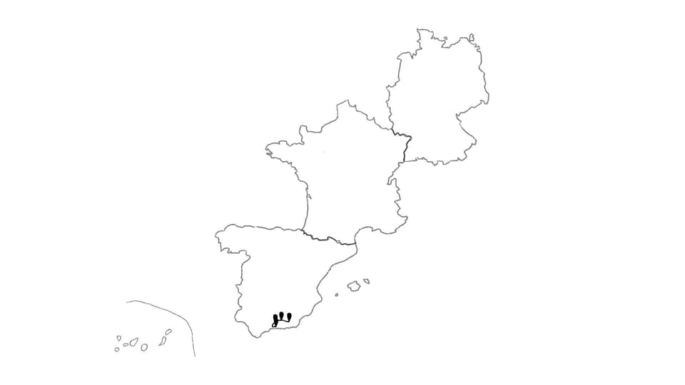Die Reiseroute unserer Europareise // Unterwegs in Südspanien // Reisewoche 30