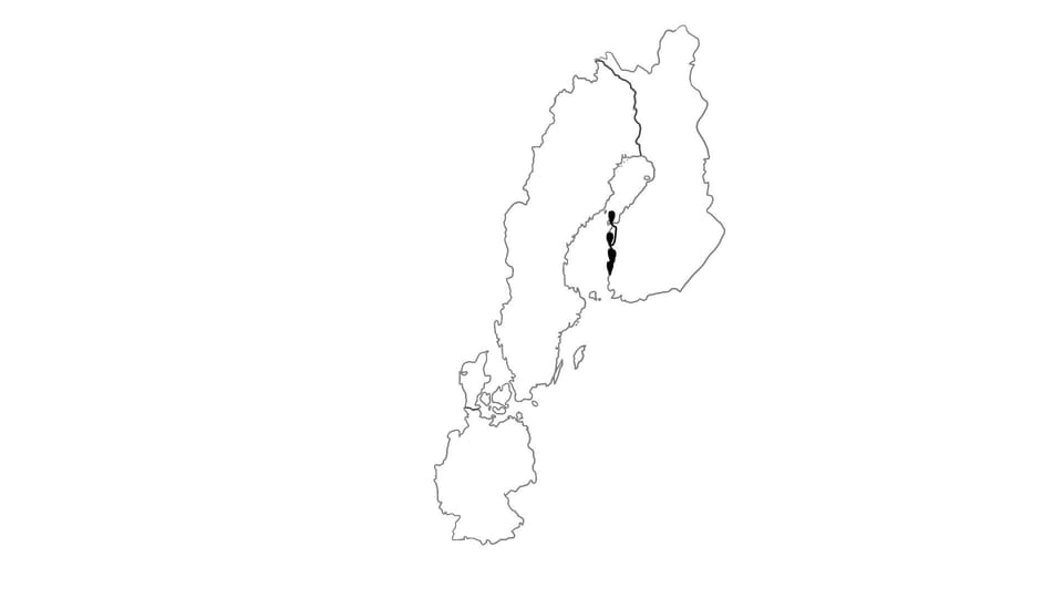 Die Reiseroute unserer Europareise // Unterwegs in Finnland // Reisewoche 7